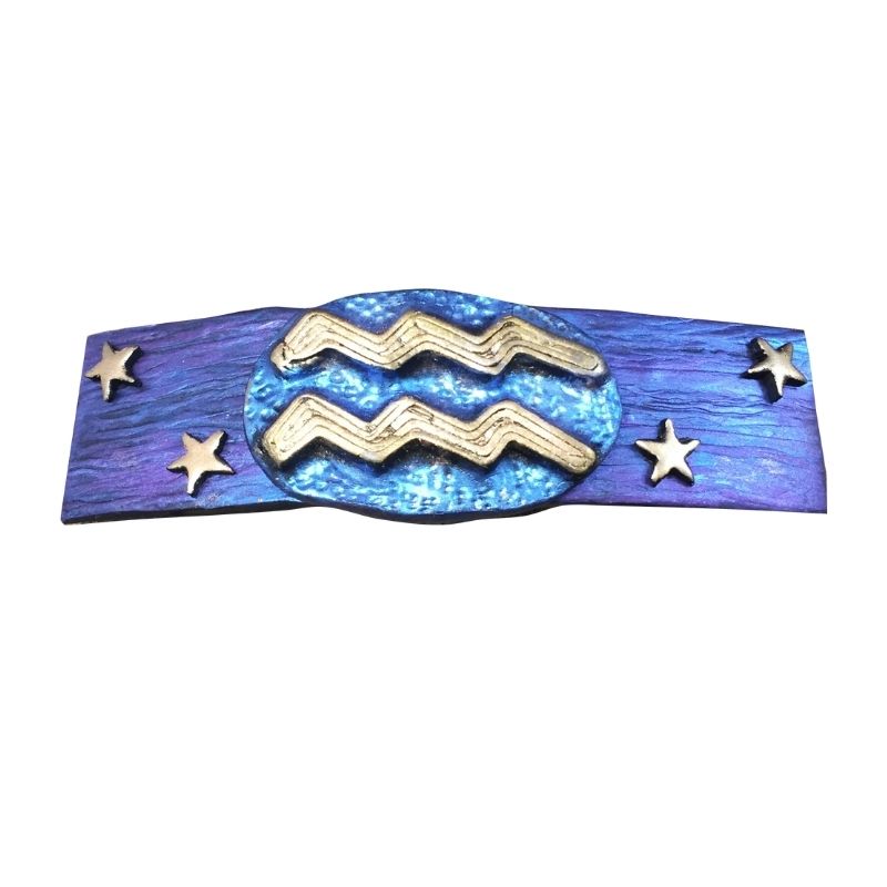 Blue hair clip with Aquarius zodiac sign in gold with gold stars.