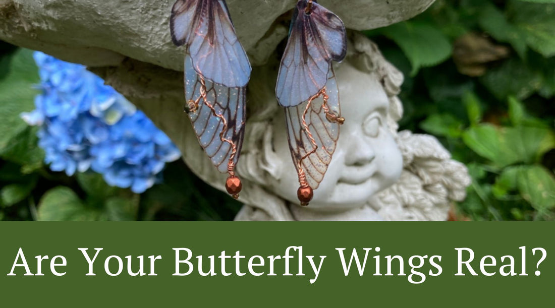 Are your butterfly wings real? Butterfly wings in the background in a garden with blue Hydrangea