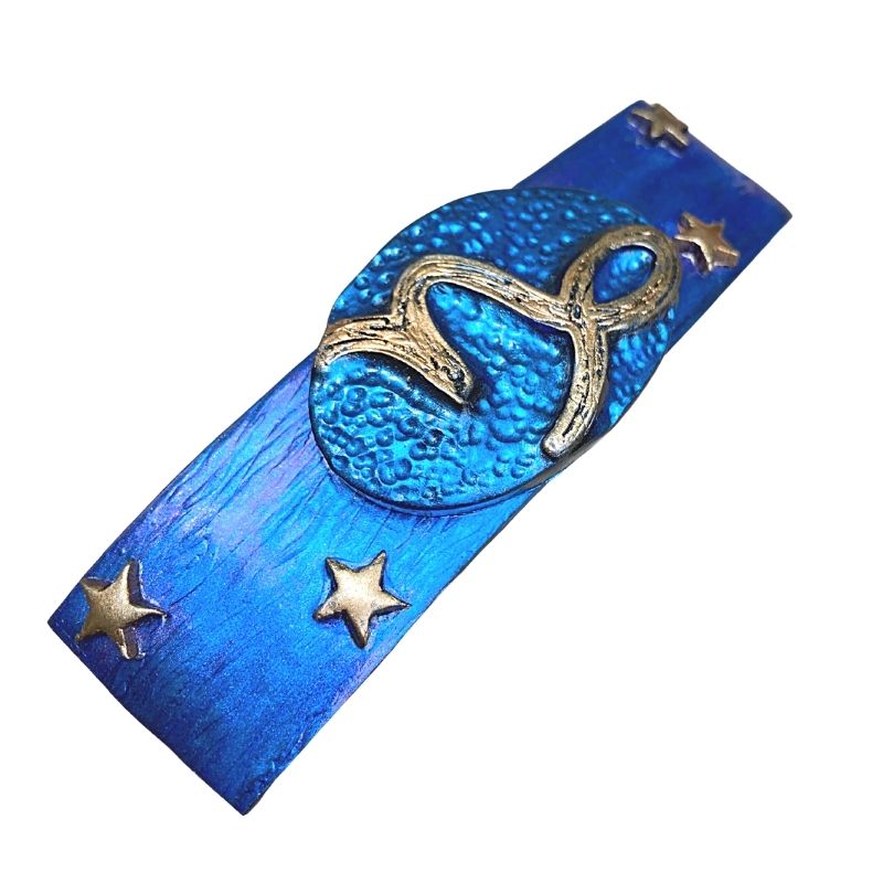 zodiac sign january Capricorn hair barrette with blue and purple base and gold symbol with stars